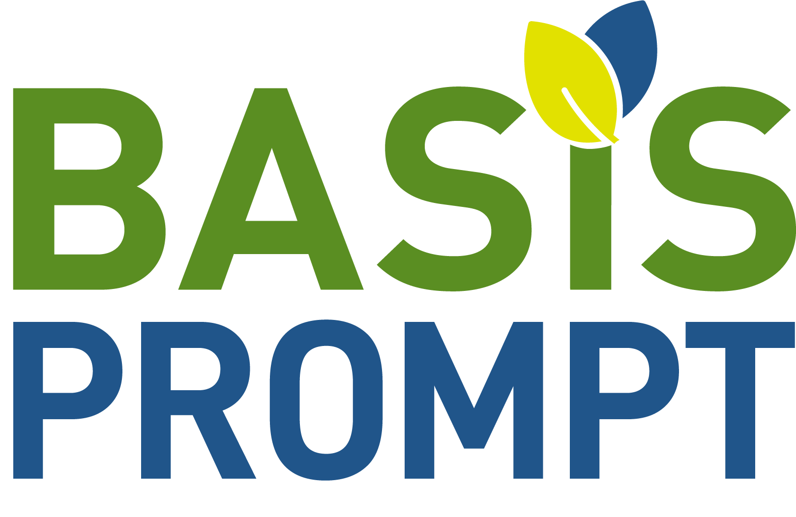 BASIS PROMPT Logo